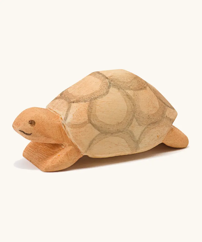 Ostheimer Turtle 1