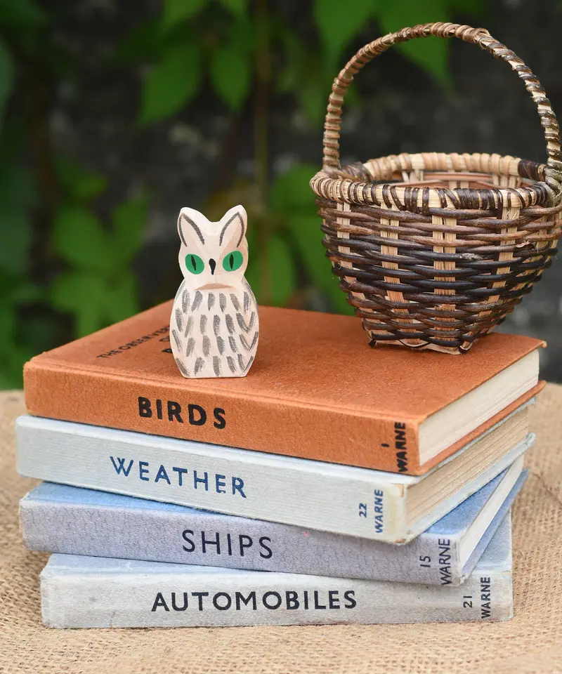 Ostheimer White Owl 2