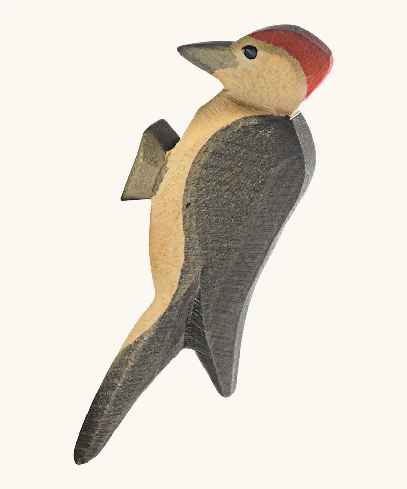 Ostheimer Woodpecker 1