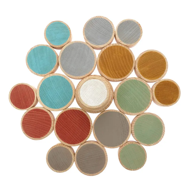 Papoose Toys Wooden Earth Coins 1