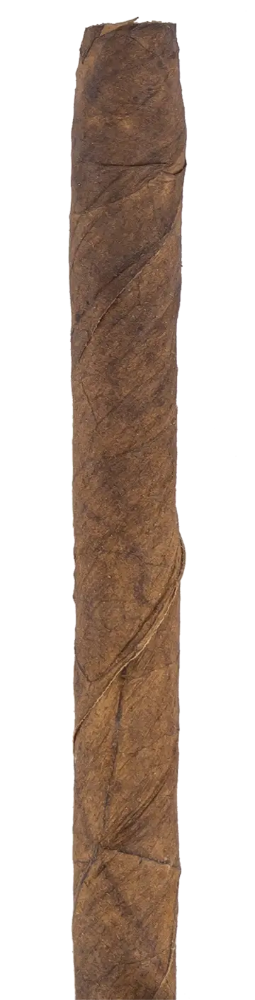 Partagas Club Cuban Cigar - Single 1