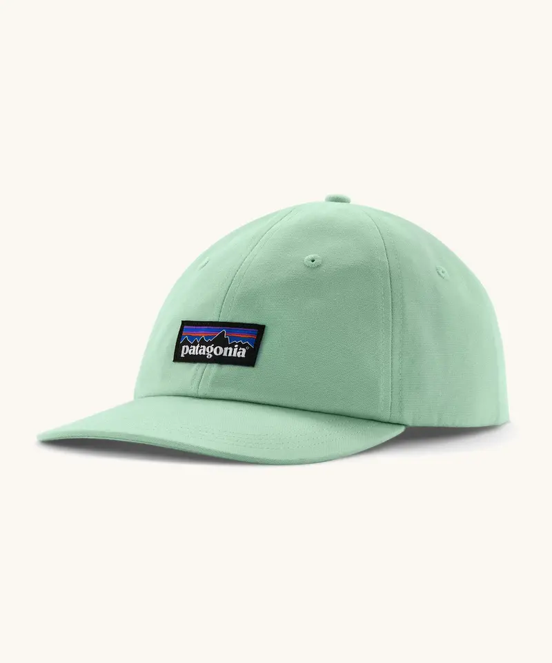 Patagonia Adult P-6 Label Trad Cap - Rinsed Green 1