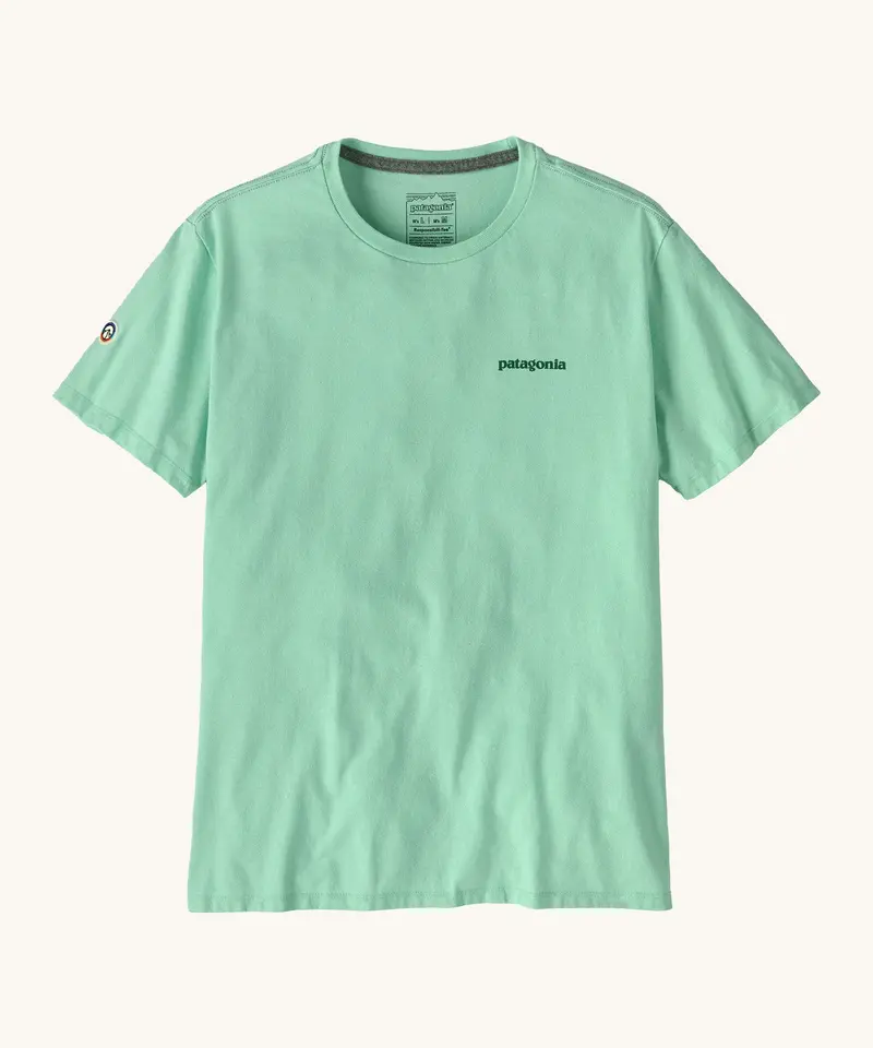 Patagonia Adult Responsibili-Tee - Fitz Roy Icon / Rinsed Green 1