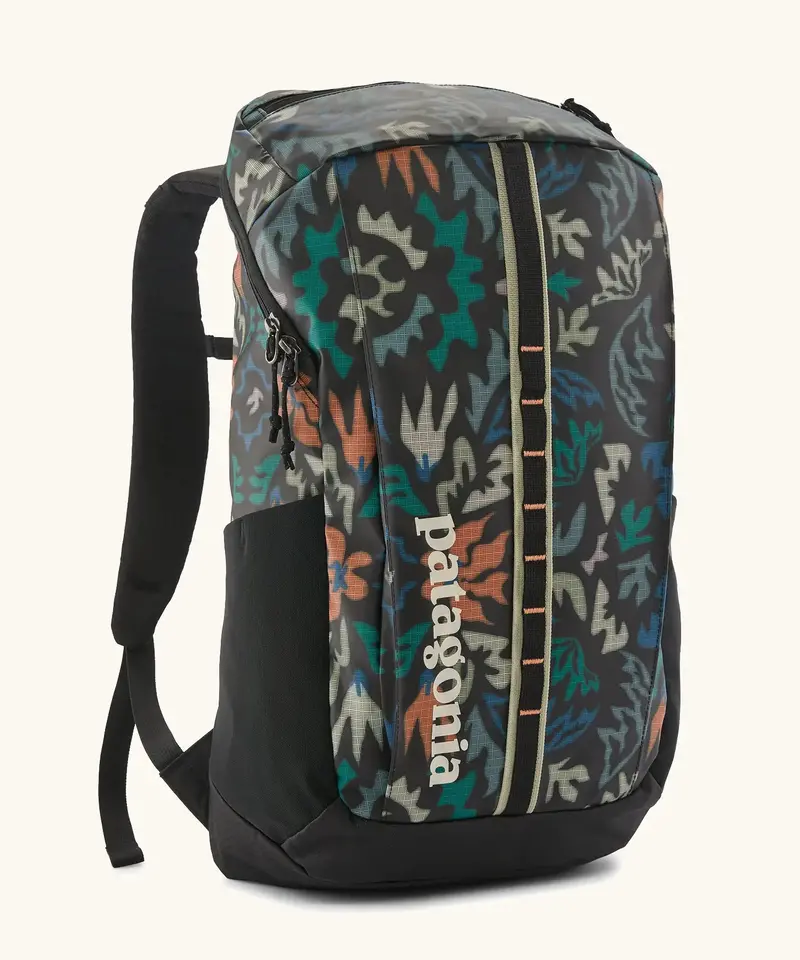 Patagonia Black Hole® Pack 25L - Kaleido / Black 1