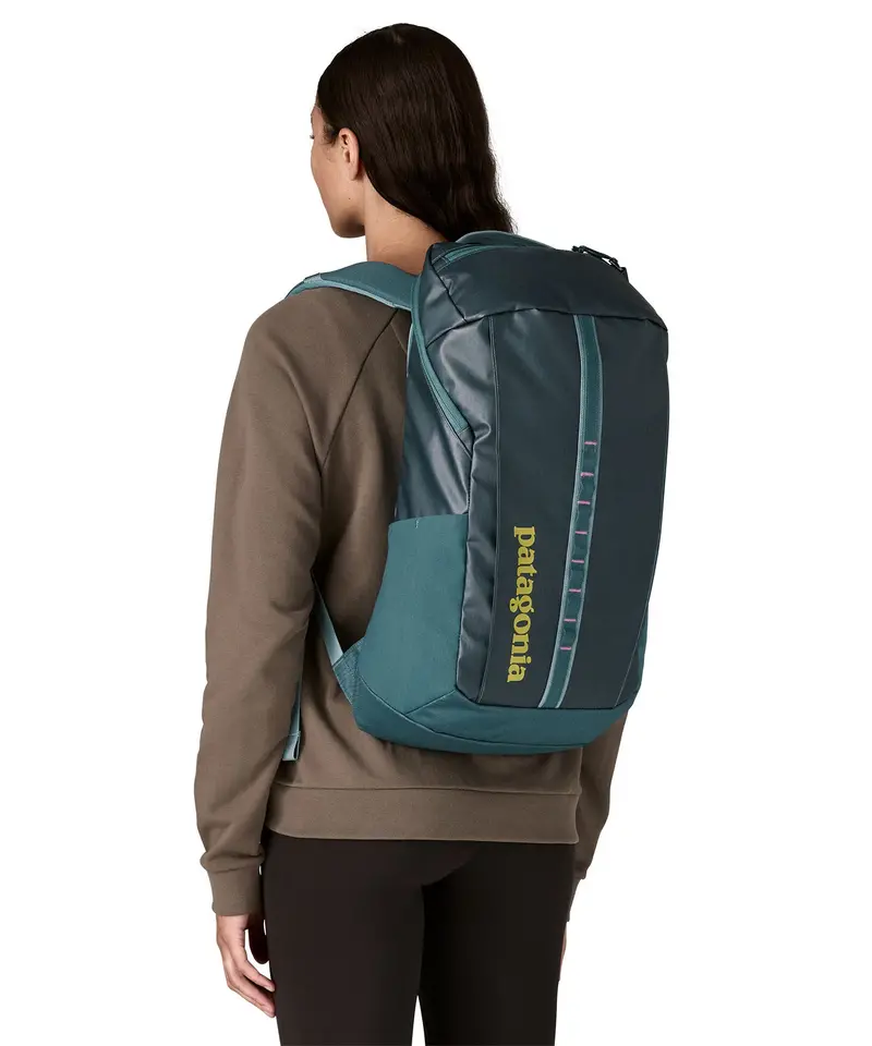 Patagonia Black Hole® Pack 25L - Tidal Teal / Pink 2