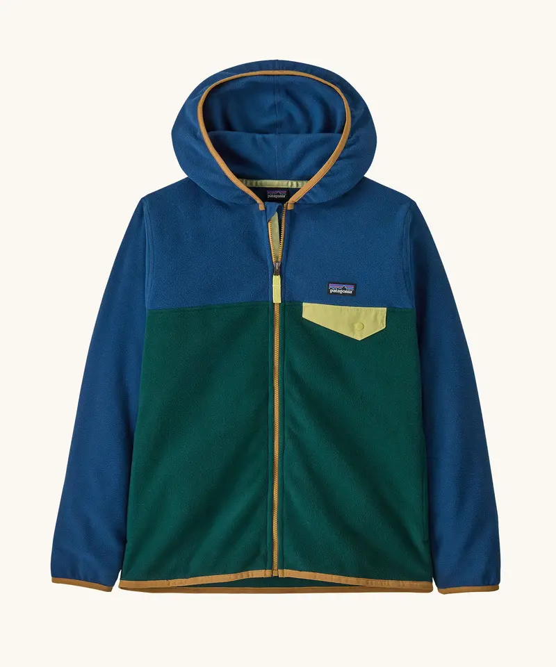 Patagonia Kids Micro D Snap-T Fleece - Cascade Green 1