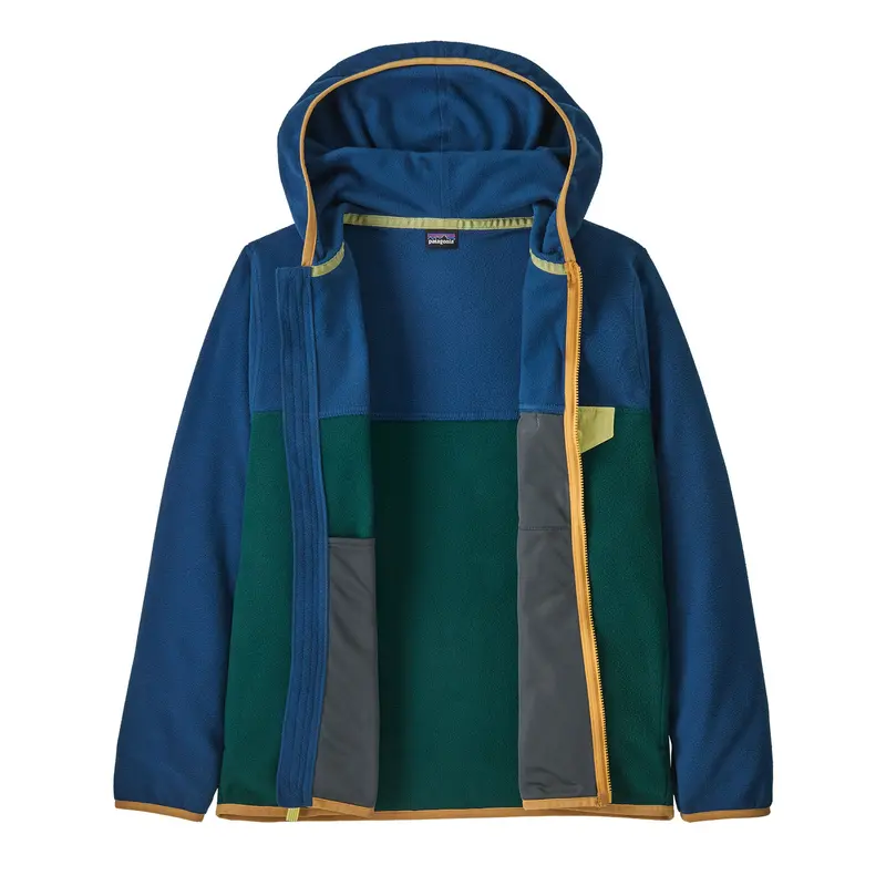 Patagonia Kids Micro D Snap-T Fleece - Cascade Green 2
