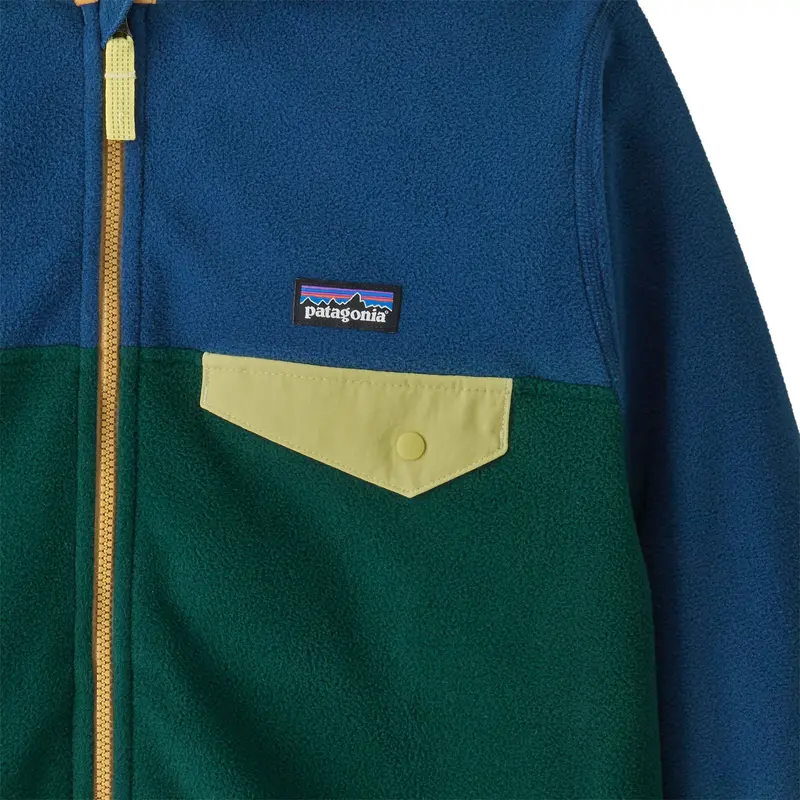 Patagonia Kids Micro D Snap-T Fleece - Cascade Green 3