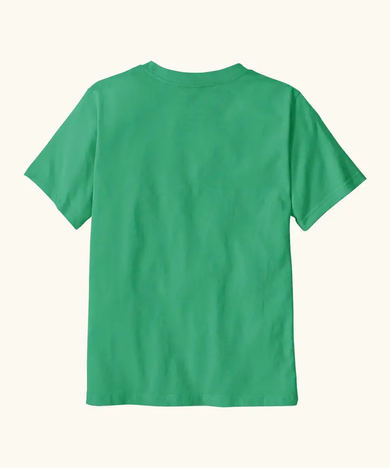 Patagonia Kids P-6 Logo T-Shirt - Aqua Stone 2