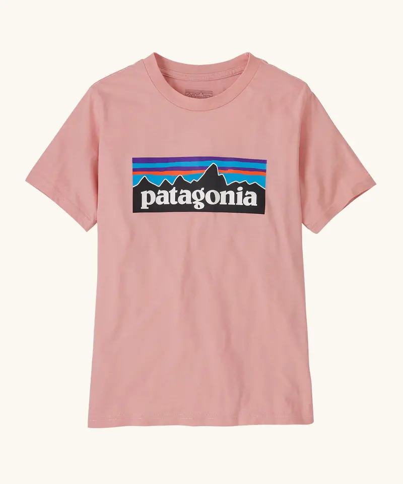 Patagonia Kids P-6 Logo T-Shirt Mallow Pink 1