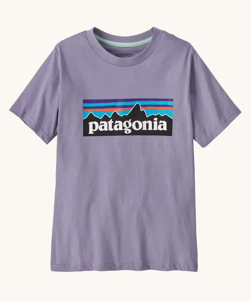 Patagonia Kids P-6 Logo T-Shirt - Rock Wash / Concrete Purple 1