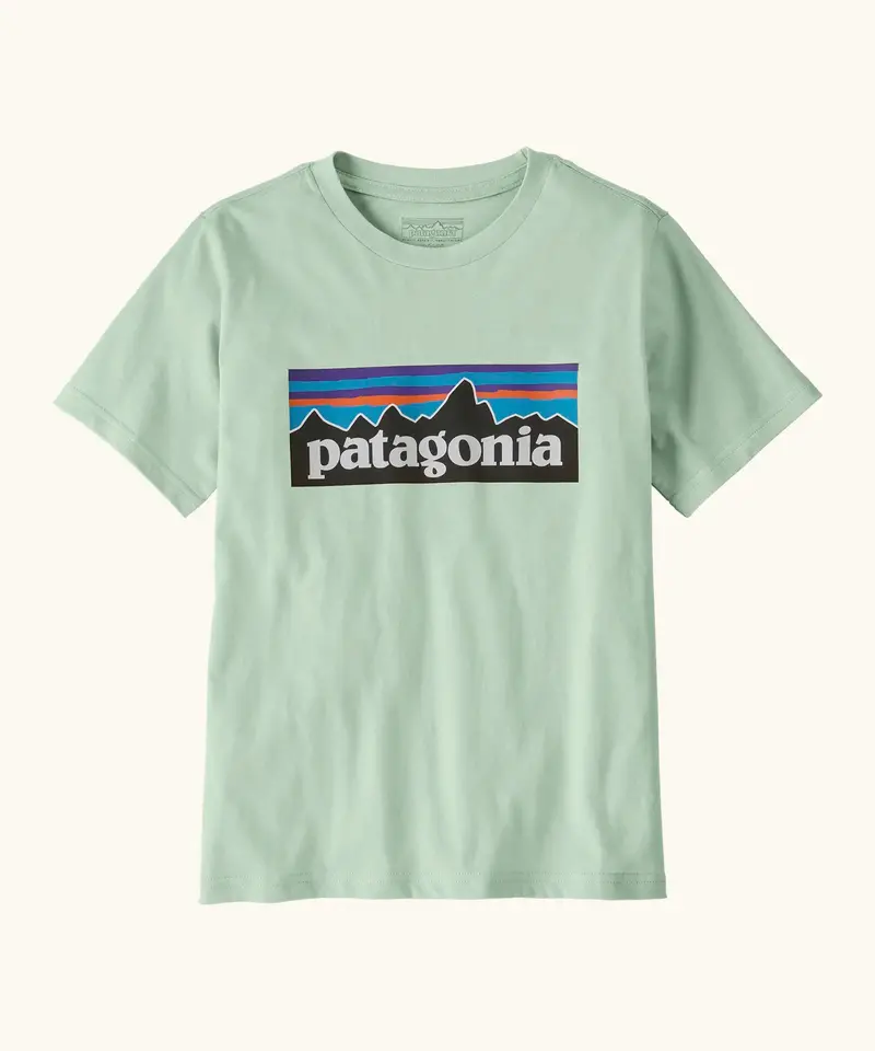 Patagonia Kids P-6 Logo T-Shirt - Thin Ice 1