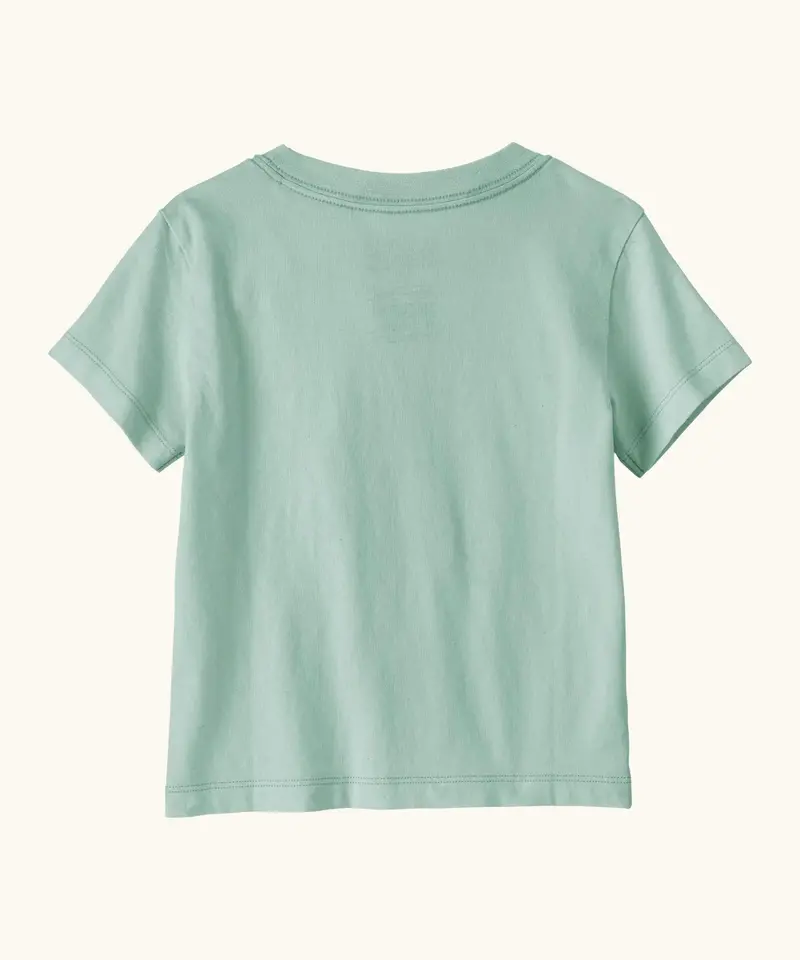 Patagonia Little Kids Graphic T-Shirt - Pink Dolphins / Thin Ice 2