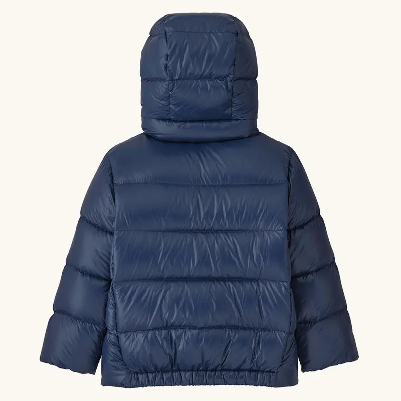 Patagonia Little Kids Hi-Loft Down Sweater Hoody Jacket - Wavy Blue 5