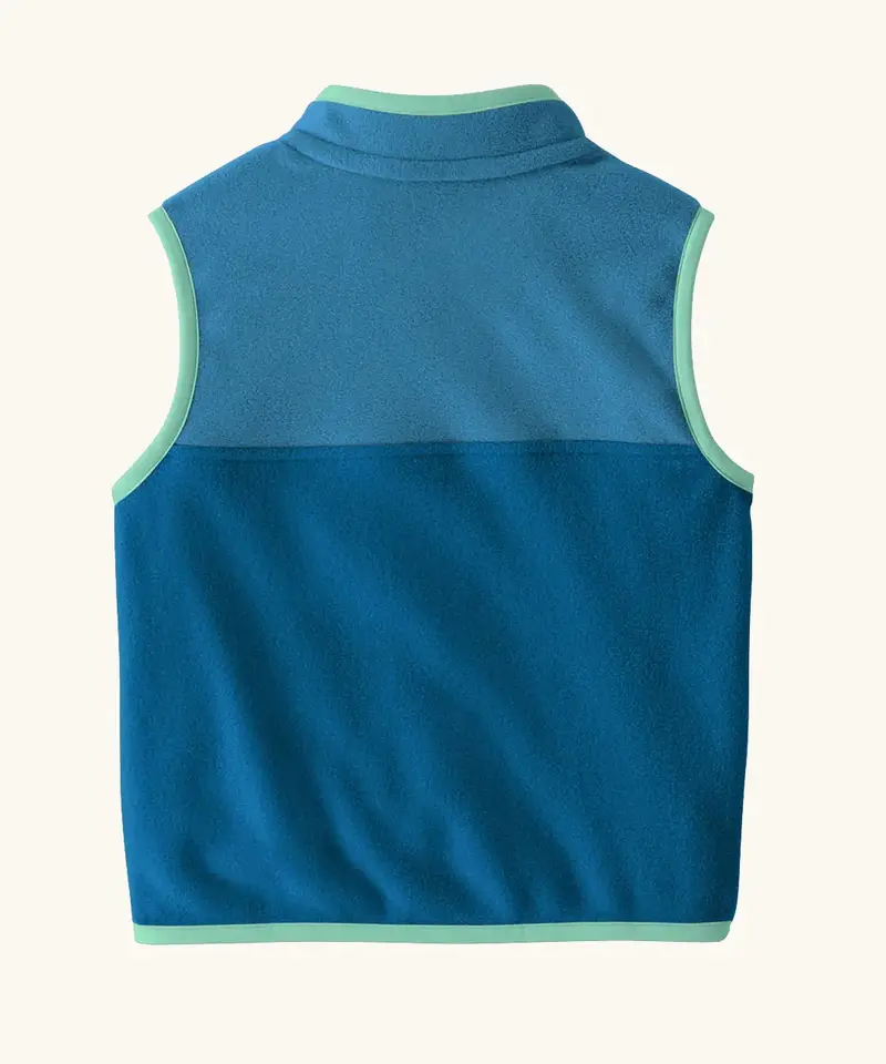 Patagonia Little Kids Micro D™ Snap-T® Fleece Vest - Aquatic Blue 2
