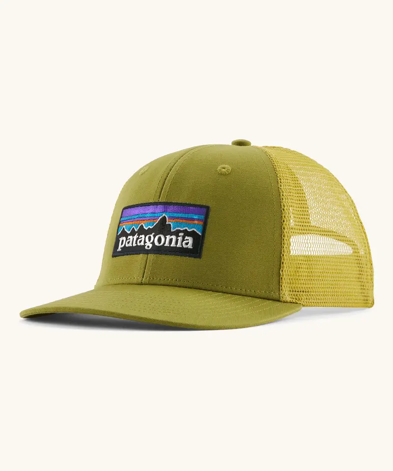 Patagonia P-6 Logo Trucker Hat - Graze Green 1