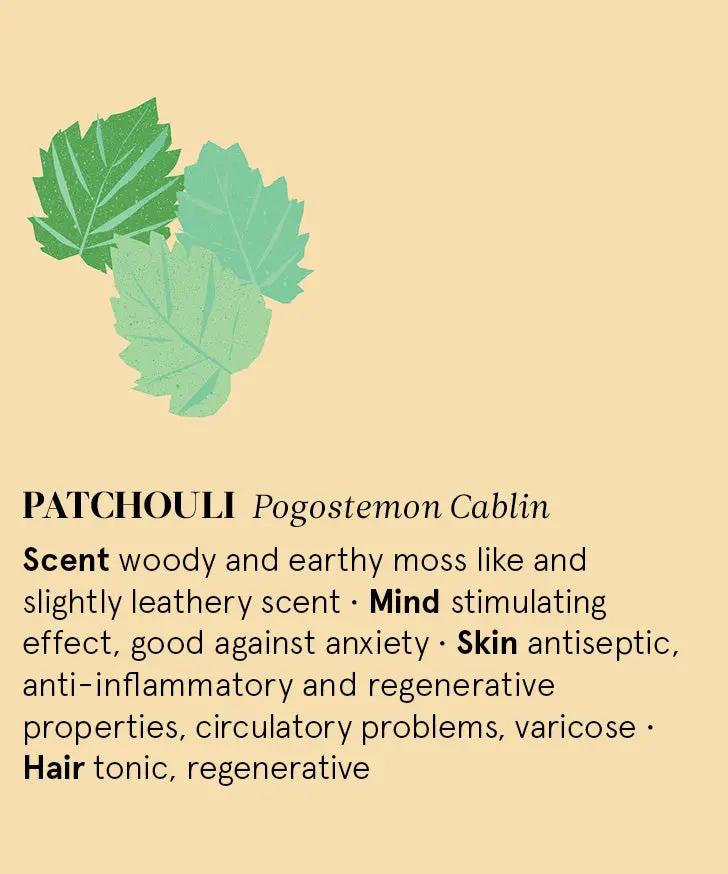 Patchouli Essential Oil 12Ml 2