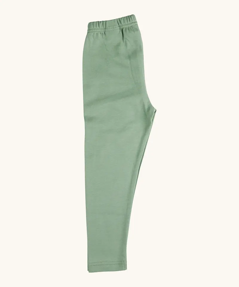 Pigeon Organics Leggings - Green 1