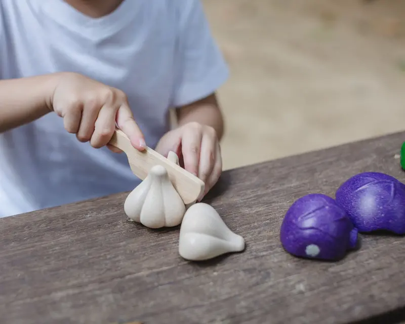 Plan Toys 5 Colours Veggie Set 2