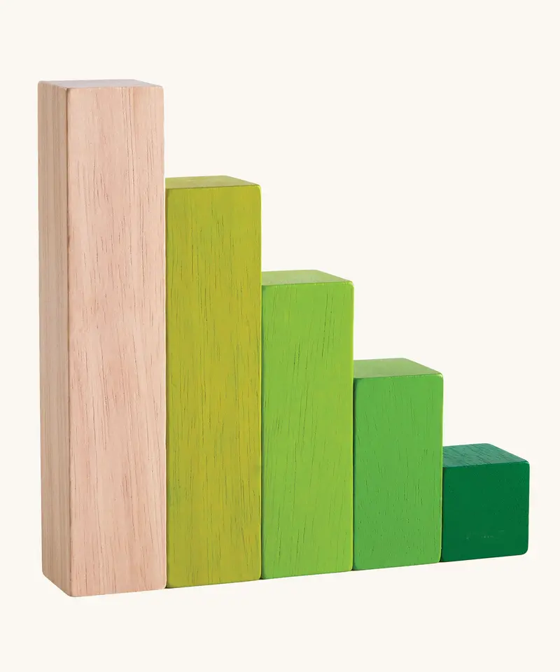 Plan Toys Ordering Blocks 1