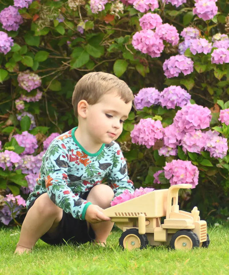 Plan Toys Special Edition Natural Dump Truck 2