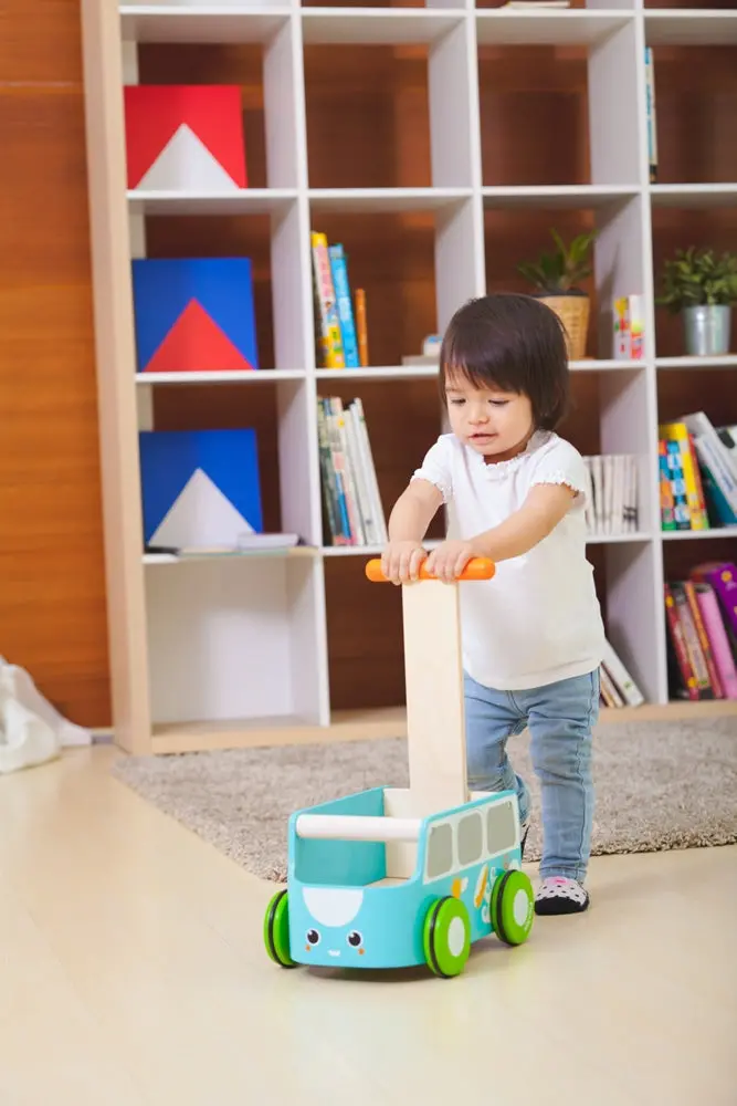 Plan Toys Van Walker - Blue 2