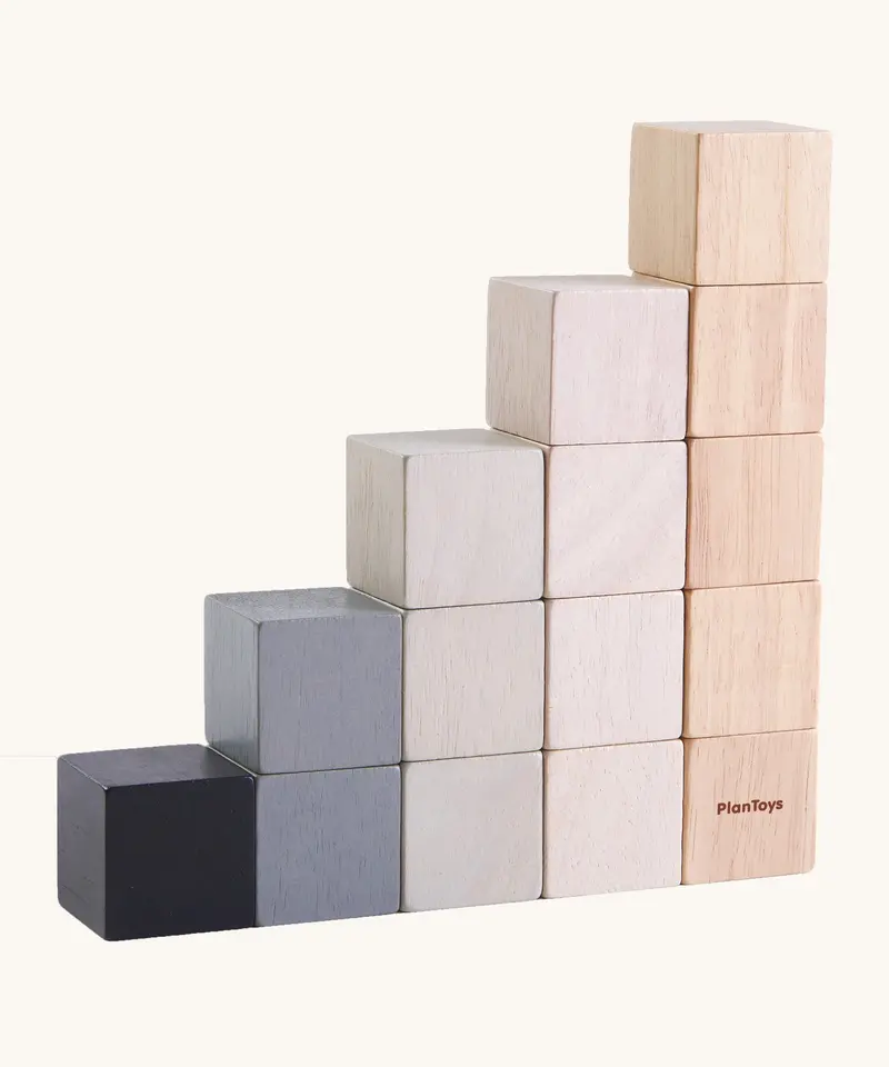 Plantoys 15 Cubes 1