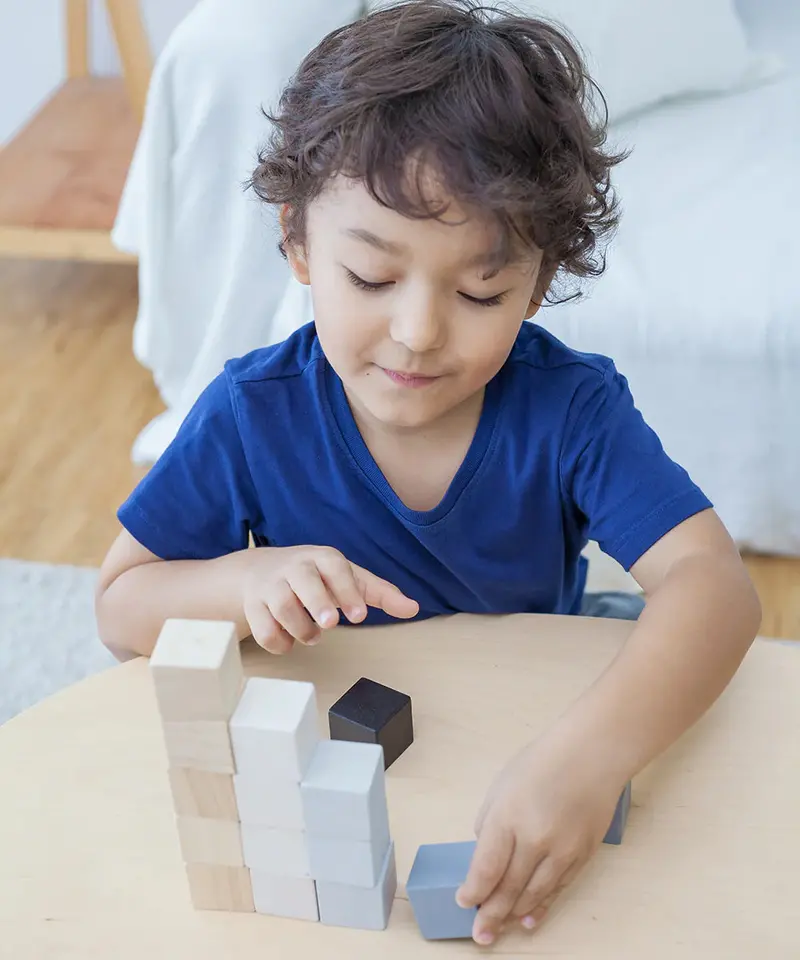 Plantoys 15 Cubes 2