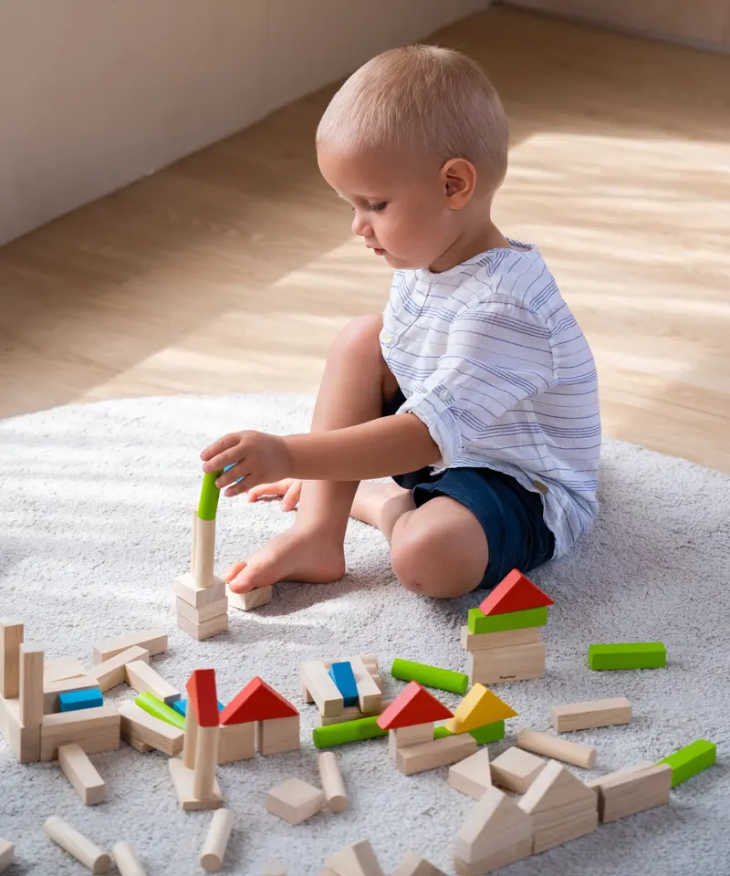 Plantoys 40 Colourful Unit Blocks 2