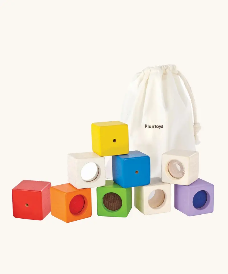 Plantoys Activity Blocks 1
