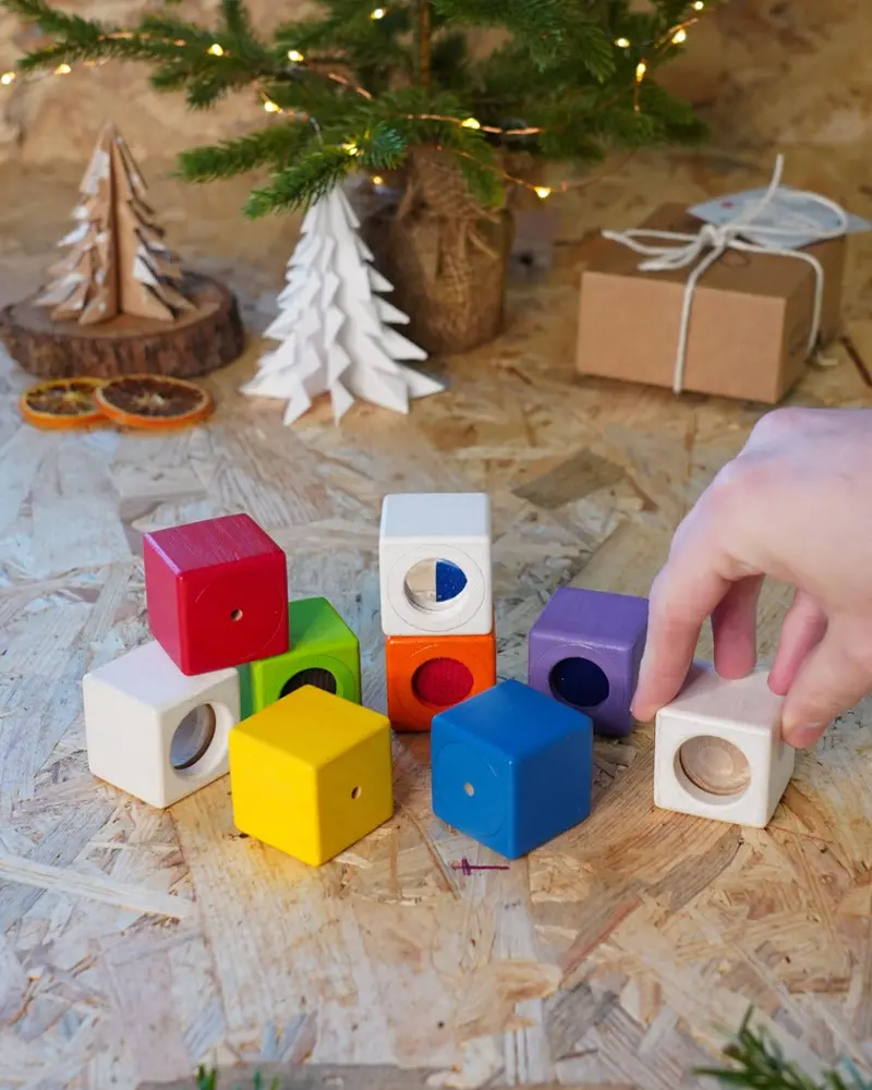 Plantoys Activity Blocks 2