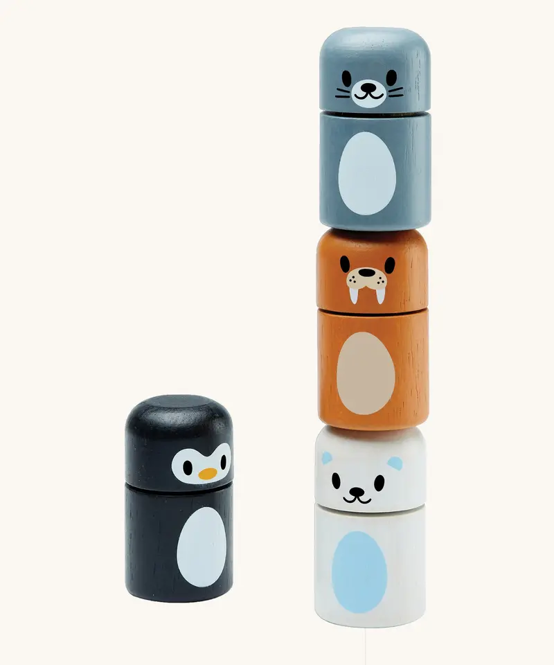 Plantoys Arctic Animal Matching Blocks 1