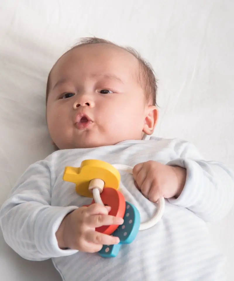Plantoys Baby Key Rattle 2