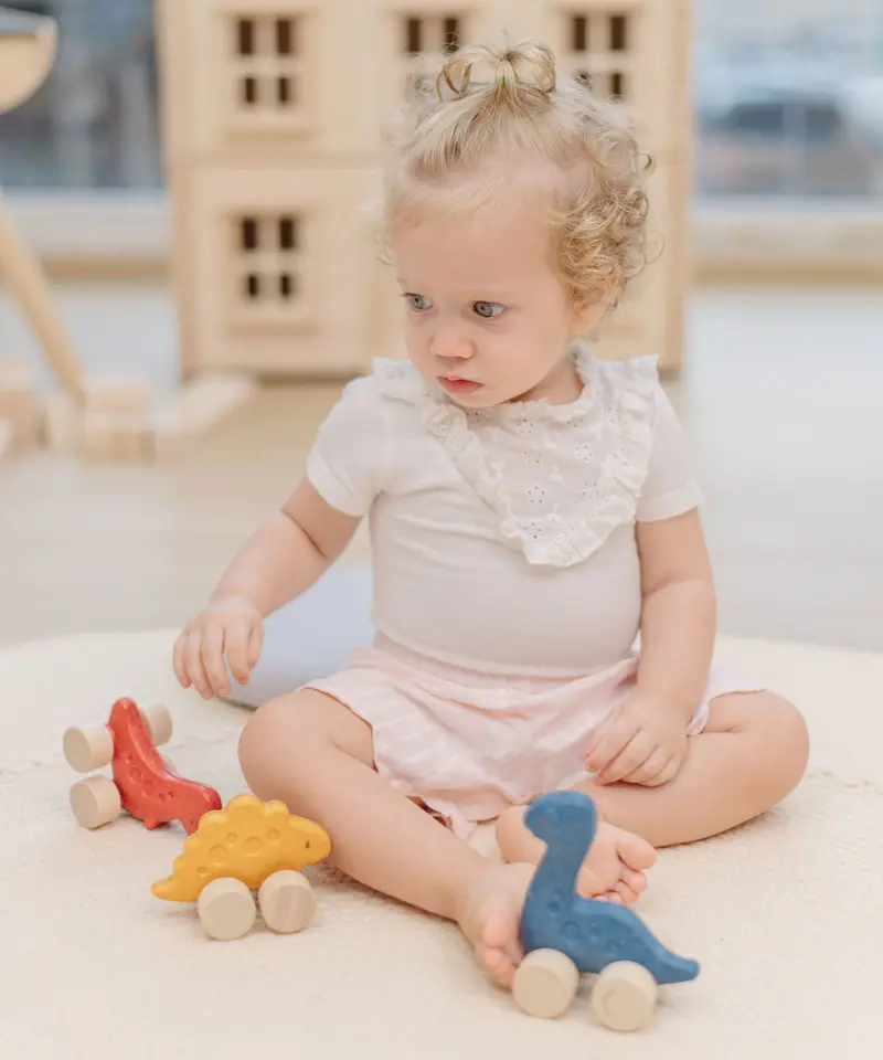 Plantoys Dino Car - Stego 2