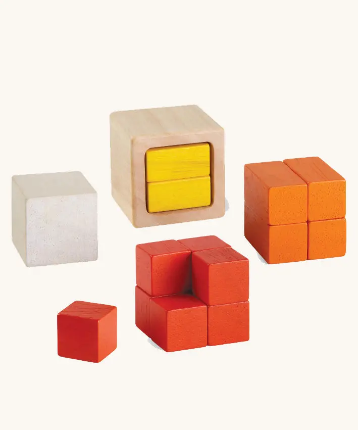 Plantoys Fractions Cubes 1