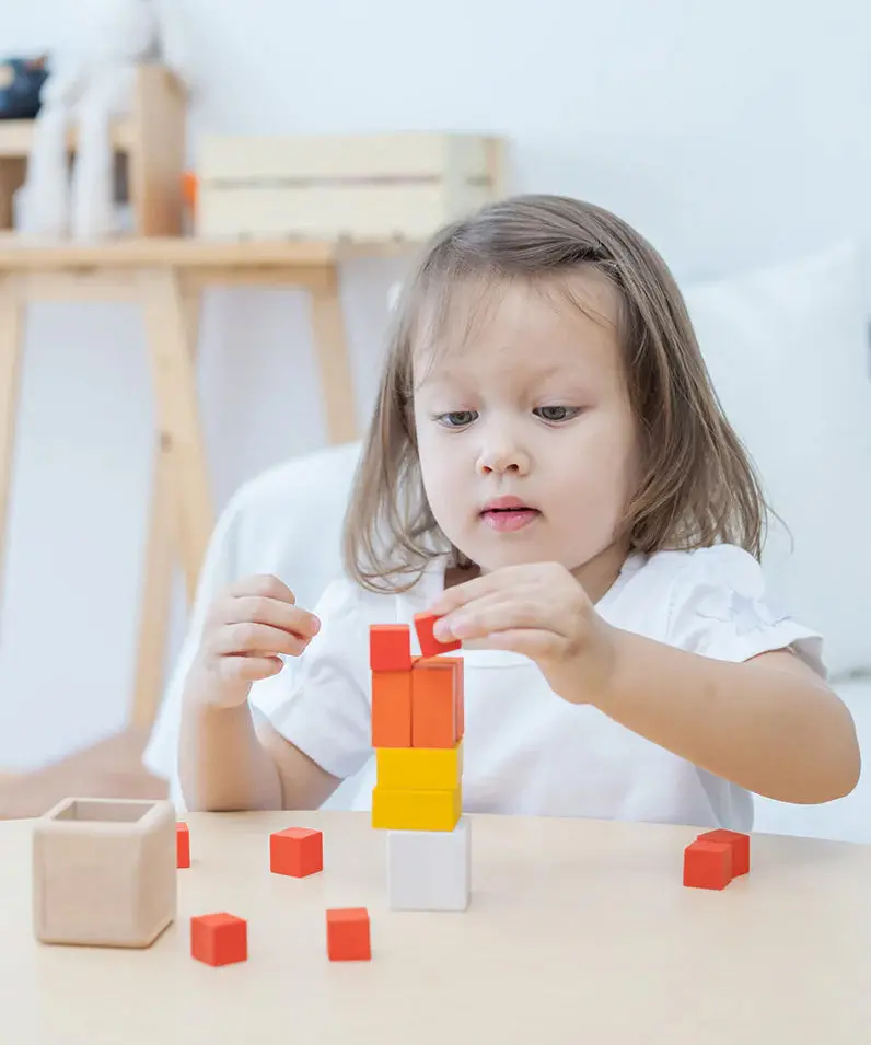 Plantoys Fractions Cubes 2