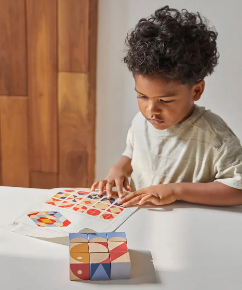 Plantoys Geo Pattern Cubes 2