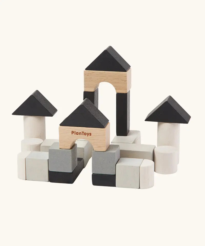 Plantoys Mini Construction Set 1