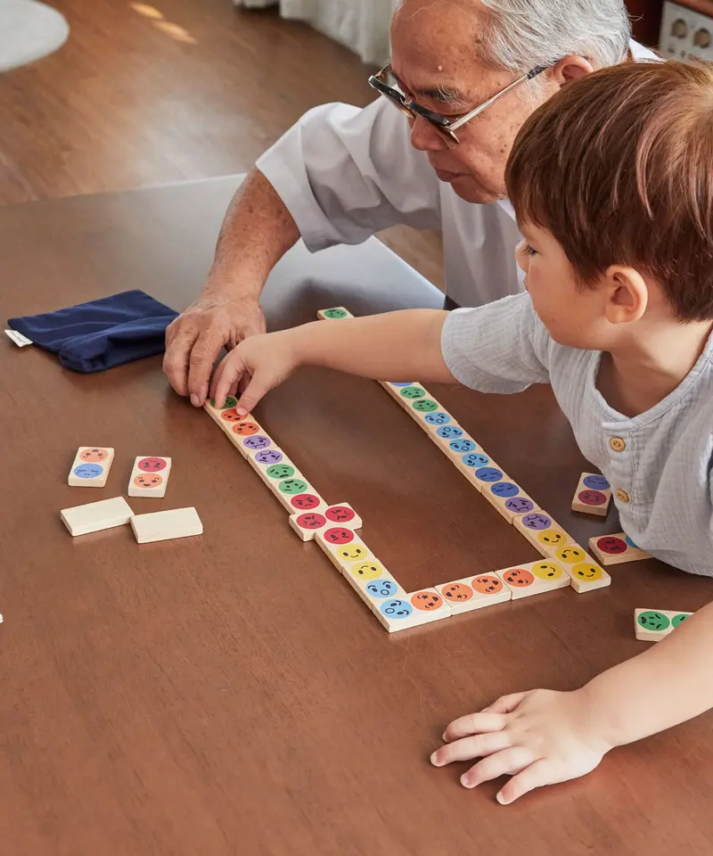 Plantoys Mood Dominos Set 2