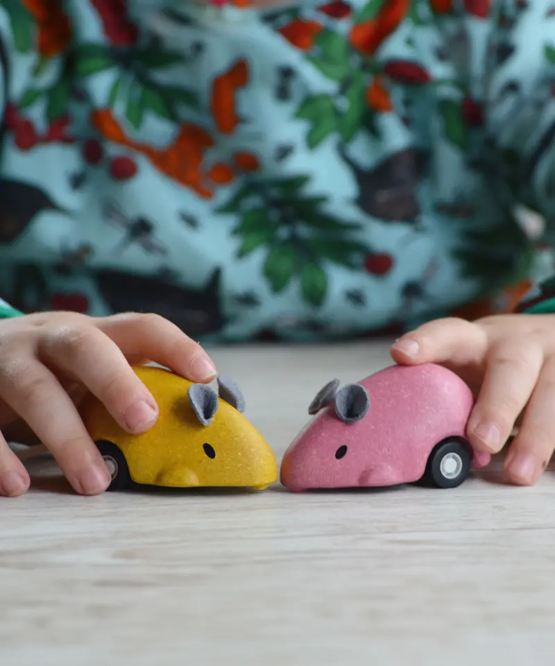 Plantoys Moving Mouse 2