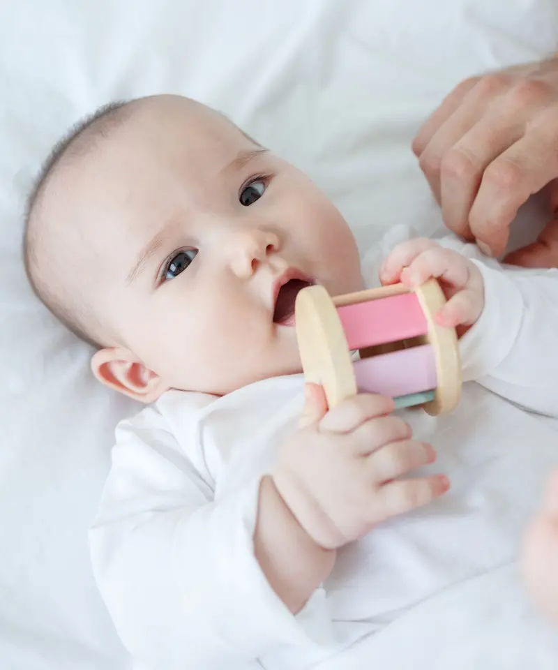 Plantoys Pastel Roller 2