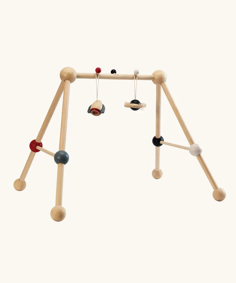 Plantoys Play Gym - High Contrast 1