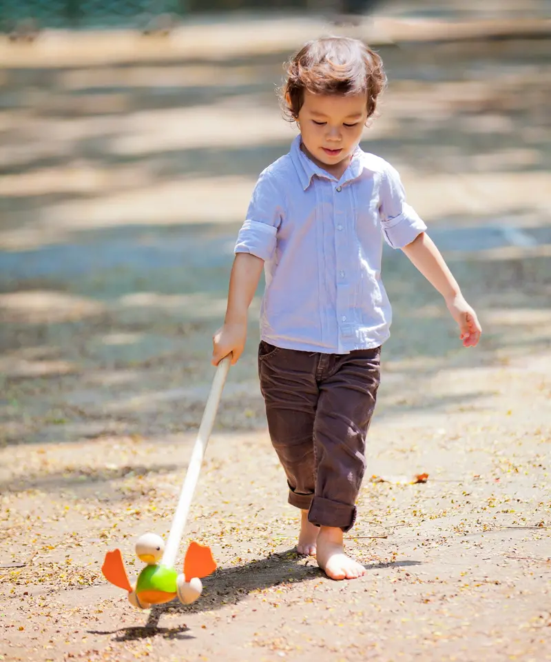 Plantoys Push Along Duck 2