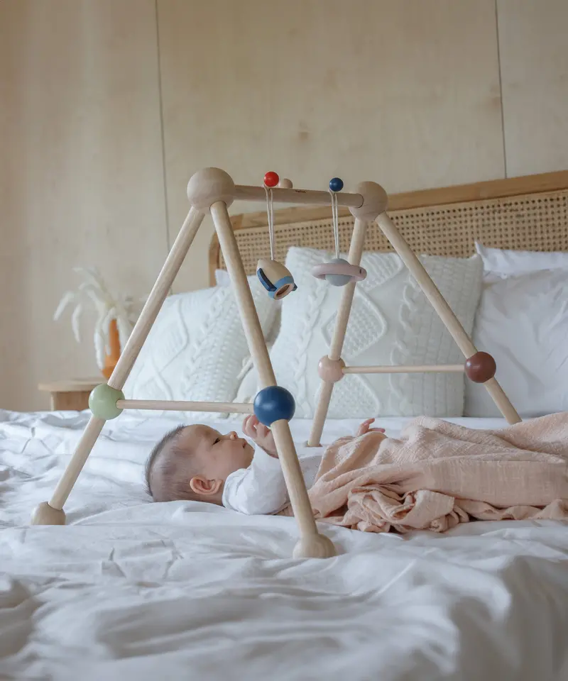 Plantoys Wooden Baby Play Gym 2
