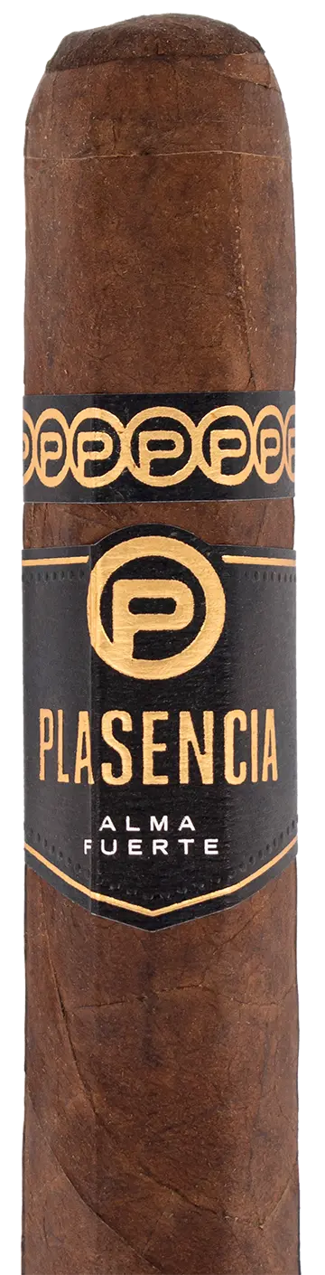 Plasencia Alma Fuerte Sixto Ii Hexagono Cigar - Single 1