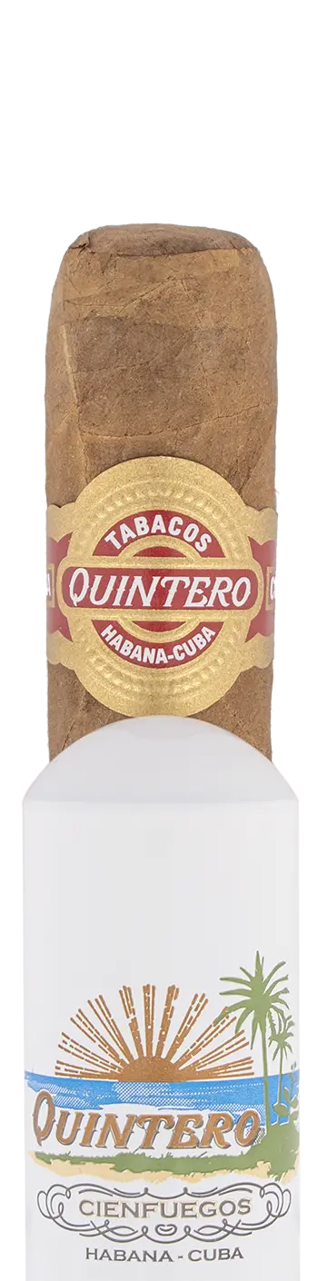 Quintero Favoritos Cuban Tubed Cigar - Single 1