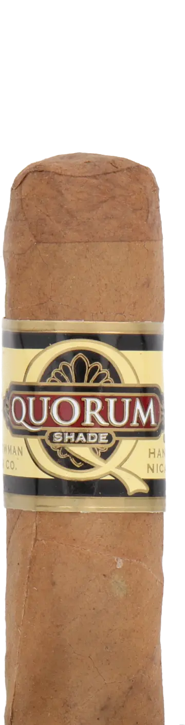 Quorum Short Robusto Shade Cigar - Single 1