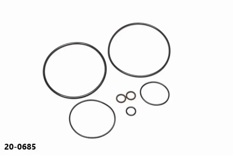 Radium Engineering Aos-R O-Ring Service Kit 1
