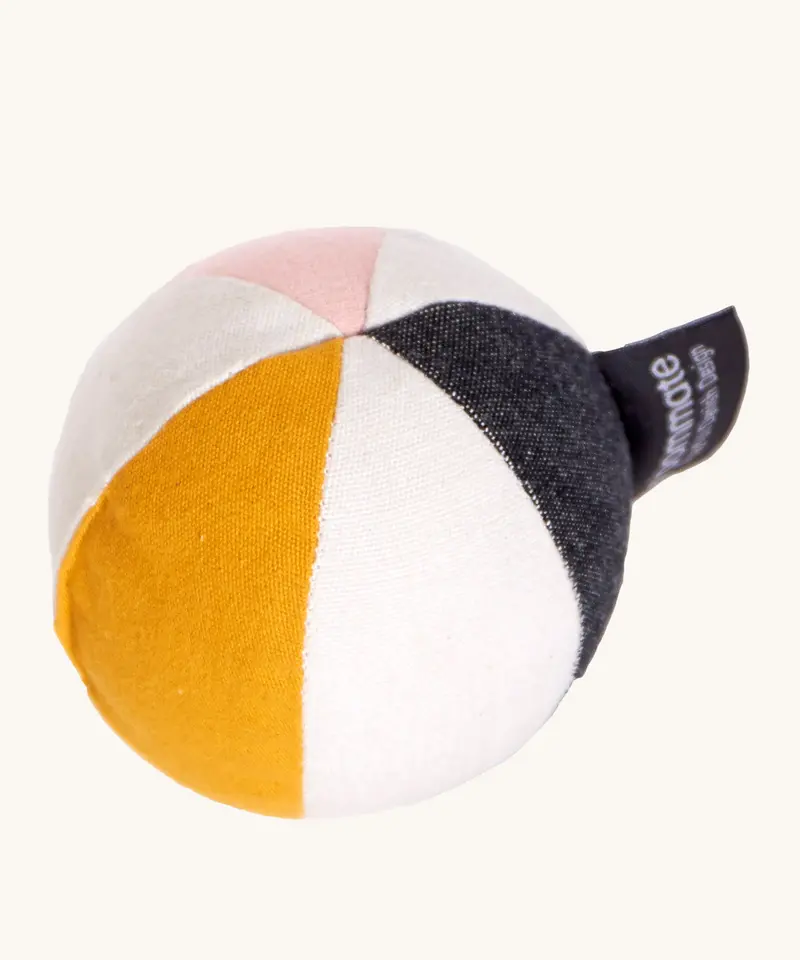 Roommate Canvas Sensory Ball - Rose 1