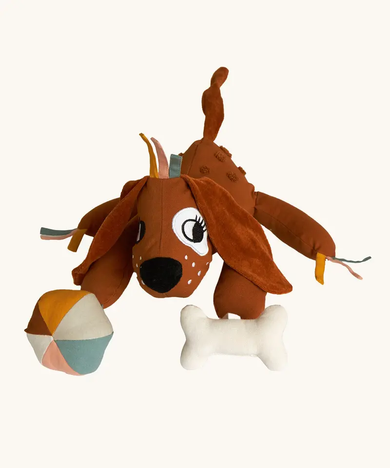 Roommate Dog Activity Toy 1